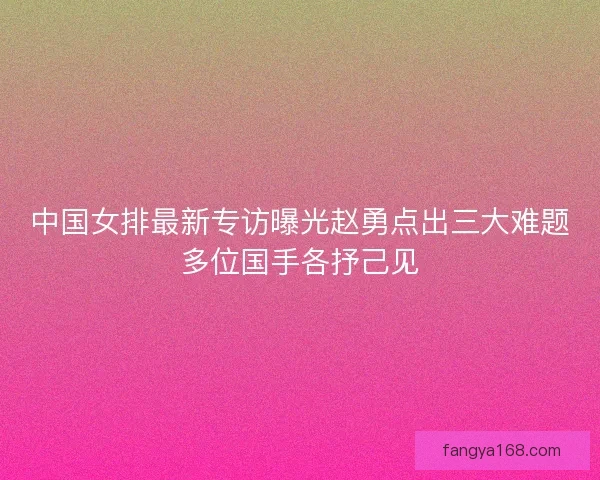 中国女排最新专访曝光赵勇点出三大难题多位国手各抒己见